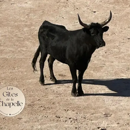 Les De La Chapelle 4 * Vauvert